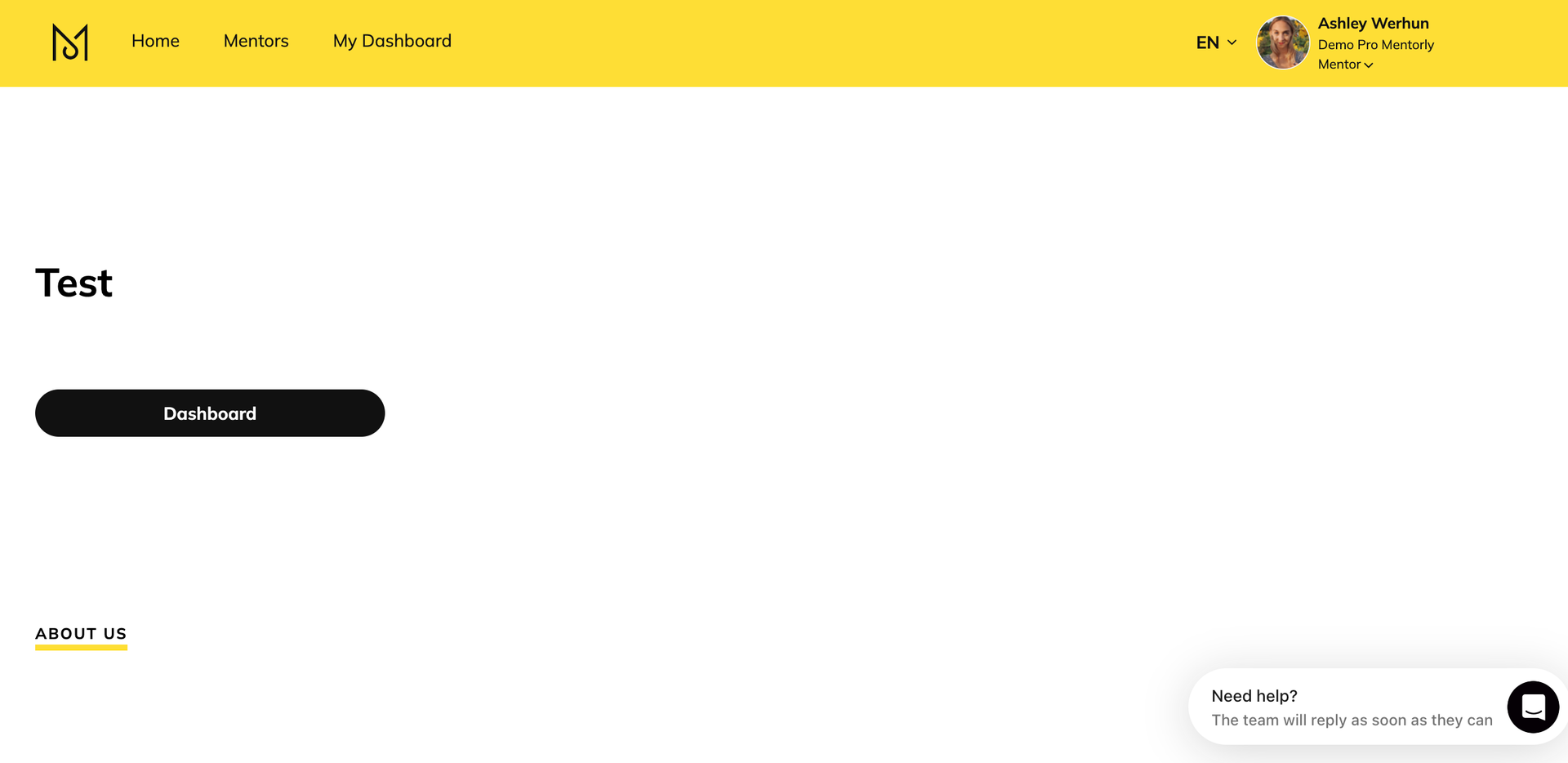 Mentorly mentorship platform - Demo dashboard screen with minimalist text